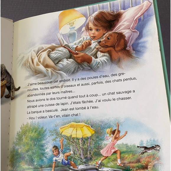 French Vintage book- Martine et le Chat Vagabond - Picture 3 of 3